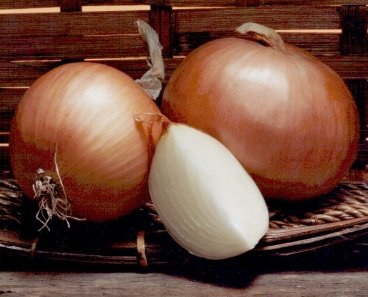 Os Benefícios da Cebola na nossa Alimentação – Nutrientes, Vitaminas