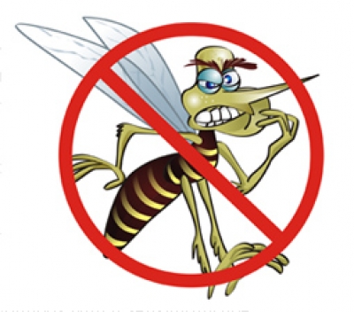 Dengue: Não deixe que ela Estrague o seu Verão