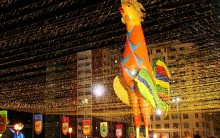 Programação do Galo da Madrugada no Recife Carnaval 2011-Confira aqui