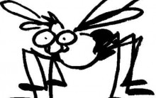 Por que Algumas Pessoas Atraem mais Mosquitos do que Outras?