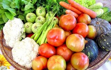 Cuidados de Higiene na Prevenção de Doenças Causadas pelos Alimentos