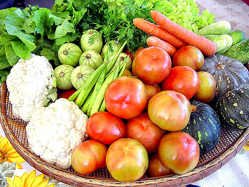 Cuidados de Higiene na Prevenção de Doenças Causadas pelos Alimentos