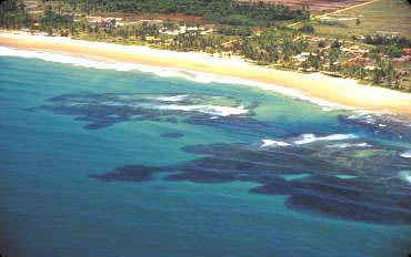 Barra Grande Bahia: Conheça Belezas deste Pedaço Encantador de Maraú