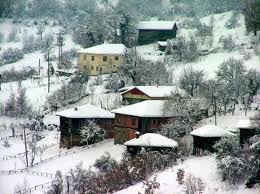 Maravilha Turca – Floresta do parque nacional de Kastamonu, Turquia