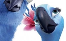 Filme Rio 3D-Confira Resenha, Fotos, Trailer e Todos Detalhes do Longa