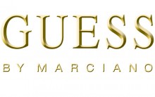 Produtos Guess – História e Informações sobre a Marca Famosa, Site