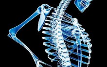 Osteoporose: Tudo sobre Sintomas, Prevenção, Diagnóstico e Tratamento