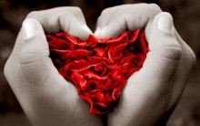 Se Apaixonar Faz Bem à Saúde – Amor, seus Benefícios ao Corpo e a Alma