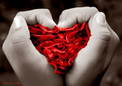 Se Apaixonar Faz Bem à Saúde – Amor, seus Benefícios ao Corpo e a Alma