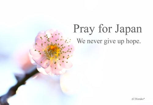 O Japão Pede SOS. Você pode Ajudar – Se Crê em Deus faça uma Prece