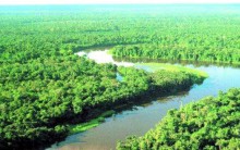 Belezas da Amazônia: Lindas Paisagens e Lugares para Conhecer, Turismo