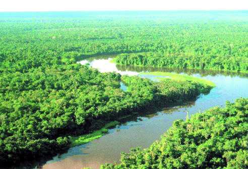 Belezas da Amazônia: Lindas Paisagens e Lugares para Conhecer, Turismo