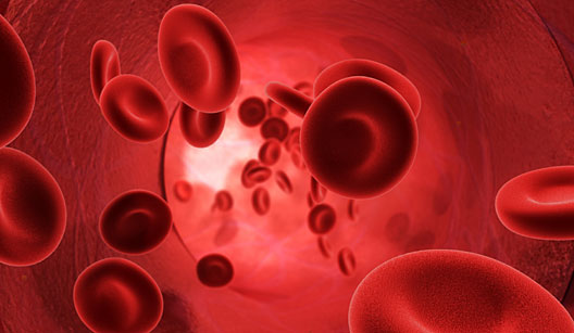 Dieta do Tipo Sanguíneo e o Alimento Ideal Para o Sangue Tipo A