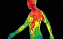 A Temperatura do Corpo Humano – Por que ela Gira em torno dos 37º C?