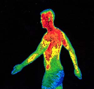 A Temperatura do Corpo Humano – Por que ela Gira em torno dos 37º C?
