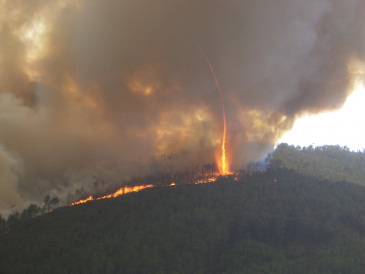 Tornado e Redemoinho de Fogo – O que é, Causa, Formação, Fotos e Vídeo
