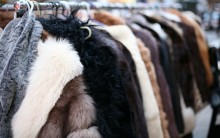 Roupas e Acessórios com Pelos e Peles Sintéticos: Moda Inverno, Arrase