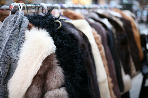 Roupas e Acessórios com Pelos e Peles Sintéticos: Moda Inverno, Arrase