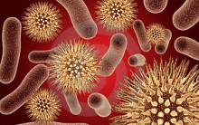 Alemanha em Alerta, Nova Bacteria Escherichia coli tem Causado Mortes