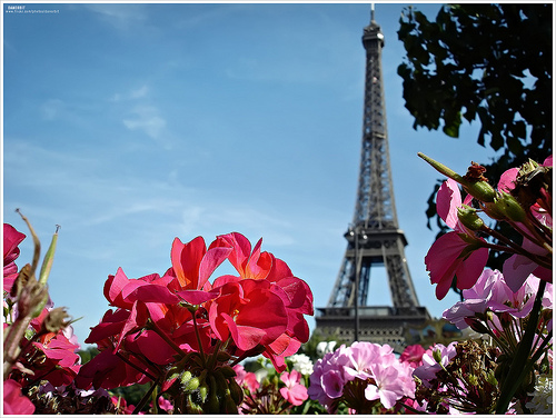 Melhores Fotos da França: Torre Eifel, Arco do Triunfo, Castelo Lindos