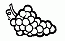 Lindos Desenhos de Frutas para Pintar: Modelos Perfeitos para Colorir