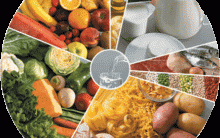 Saiba Tudo Sobre os Grupos de Alimentos, Suas Funções e Nutrientes