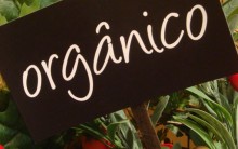 Alimentos Orgânicos – O que são, Benefícios, Dicas para Comprar Certo
