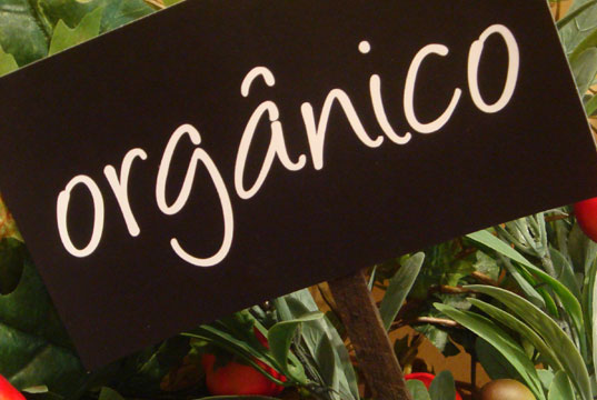 Alimentos Orgânicos – O que são, Benefícios, Dicas para Comprar Certo
