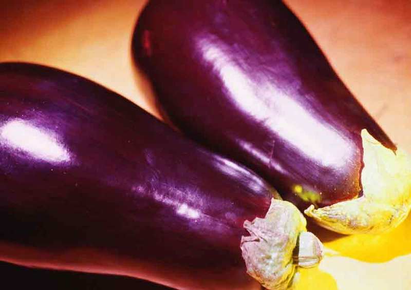 Saiba Mais Sobre a Beringela e Nutrientes Receita Lasanha de Beringela