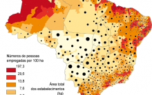 Cartografia Temática: Definição, Exemplos, Mapas, Anamorfose e mais