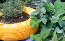 Como Fazer Horta Reciclando Pneus usados – Agro-ecologia – Pode Plantar Verdura em Pneus Velhos?