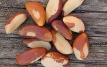 Benefícios da Castanha do Pará para Saúde e Suas Vitaminas