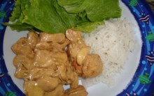 Estrogonofe de Frango Light Confira Receita Passo a Passo – Dieta