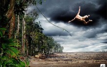 Imagens Engraçadas sobre o Desmatamento: Fotos de Tarzan e Cachorros