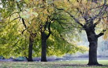 Lindas Paisagens da Inglaterra: Melhores Fotos, Londres e Castelos