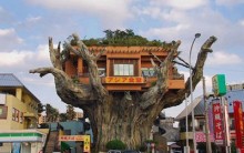 Naha Diner Harbor, o Restaurante que Fica em Cima de uma Árvore, Fotos