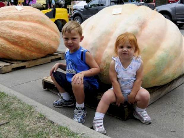 Abóbora Gigante de 587,4 Kg Ganha Concurso em Iowa – EUA, Veja Fotos