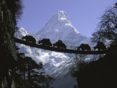 melhores-fotos-do-nepal