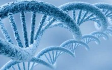 Transcrição do DNA: Como Acontece, Resumo, Esquema para Estudo, Tabela