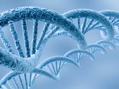 Transcrição do DNA: Como Acontece, Resumo, Esquema para Estudo, Tabela