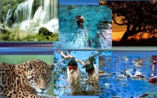 Turismo no Pantanal: Fauna, Culinária, Cultura, Hotéis, Atrações Fotos