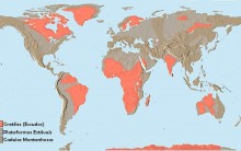 Tudo sobre as Províncias Geológicas: Escudos, Dobramentos e Bacias
