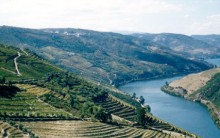 Vale do Douro em Portugal: Viagem, Hotéis, Vinhos, Paisagem e mais