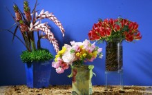 Arranjos de Flores feitos com Caixinha de Leite e Garrafas PET-Recicle