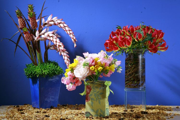 Arranjos de Flores feitos com Caixinha de Leite e Garrafas PET-Recicle