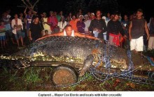 Crocodilo Gigante é Encontrado nas Filipinas: Animal Mede 6,5 m. Fotos