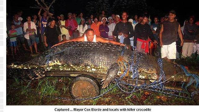 Crocodilo Gigante é Encontrado nas Filipinas: Animal Mede 6,5 m. Fotos