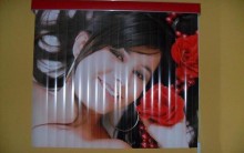 Cortinas e Persianas Personalizadas com Fotos- Confira Modelos e Tipos