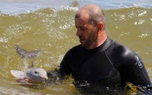 Filhote de Golfinho é Resgatado no Mar Uruguai: Recém Nascido, Fotos