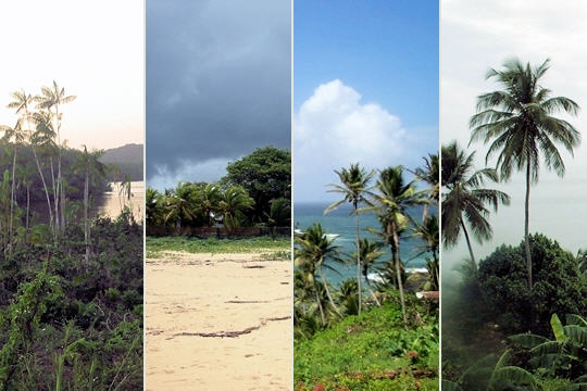 Melhores Fotos da Guiana Francesa: Imagens, Paisagens e Praias do País